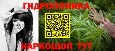 шишки Ипатово