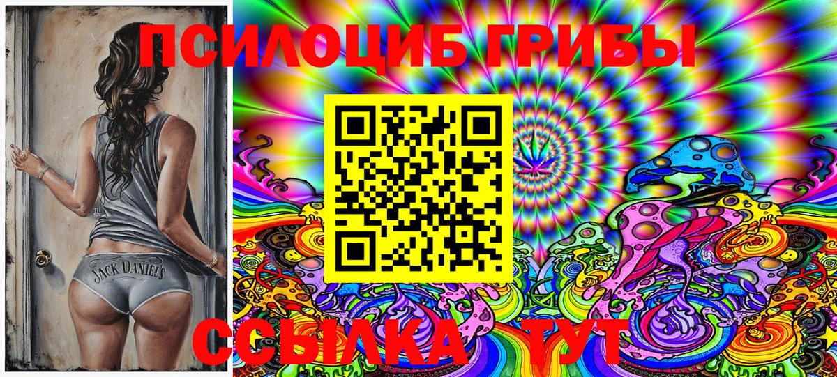 Клинцы  Псилоцибиновые грибы Cubensis  Вход с VPN 